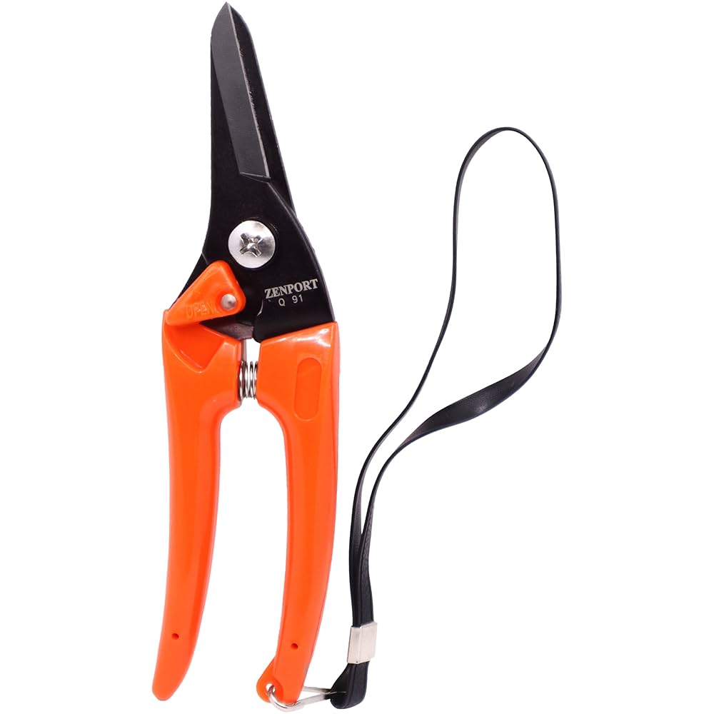 B1461 つゆくさ Amazon.com : Zenport Q91 Zen-Magic Ultra Twig and Hoof